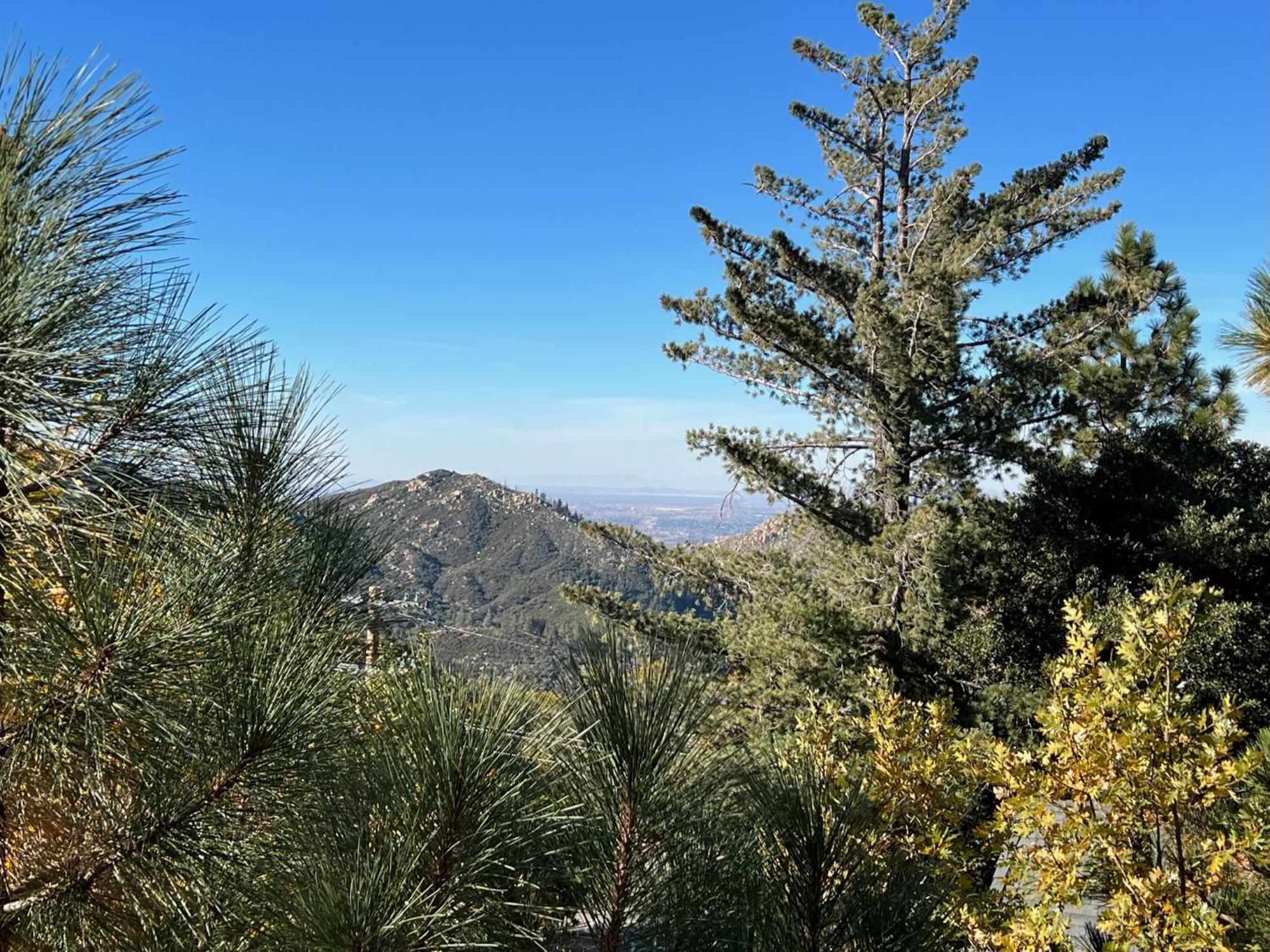 Ev Level 2, Pets Welcome At Sunset Ridge Lake Arrowhead Exterior photo